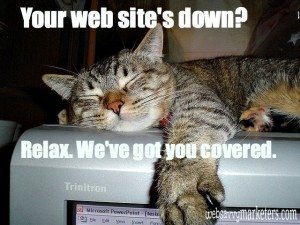Your web site goes down