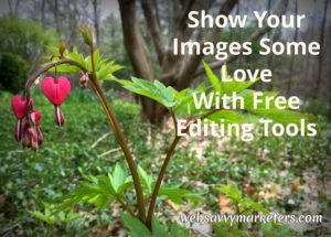 image editing sites